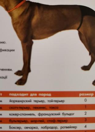 Collar (коллар) трусы одежда для собак, хлопок размер в наличии 0, 1