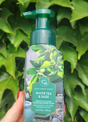 Нежное пенное мыло white tea &amp; sage парфюмированное мыло пенка от bath &amp; body works