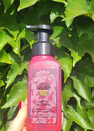 Нежное пенное мыло cactus blossom от bath &amp; body works парфюмированное мыло пенка