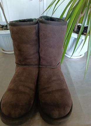 Кожаные коричневые угги ugg р.39 2