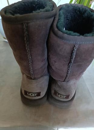 Кожаные коричневые угги ugg р.39 4