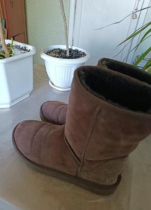 Кожаные коричневые угги ugg р.39 3