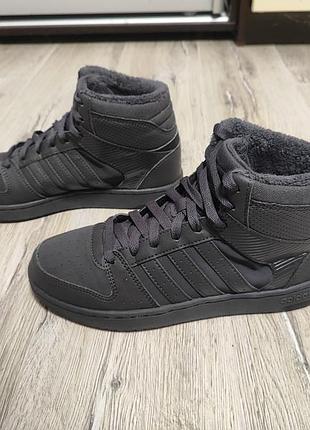 Высокие кроссовки adidas hoops 2.0 mid 3