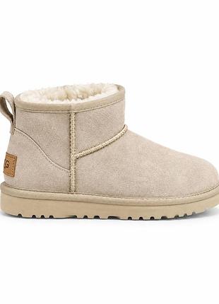 Уггі жіночі ugg 2