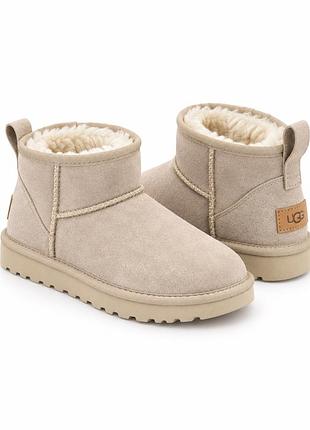Уггі жіночі ugg