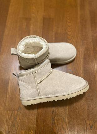 Уггі жіночі ugg 4