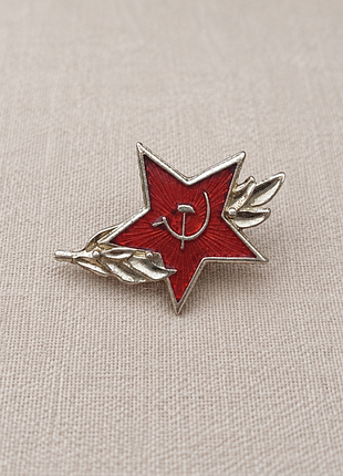 Значок зірка з лавровою гілкою