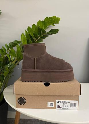 Угги ugg classic mini dipper chocolate 5