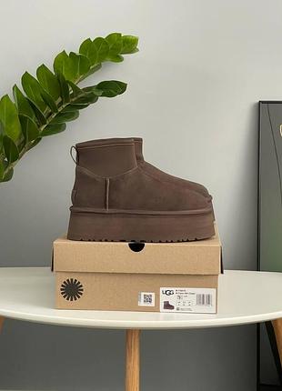 Угги ugg classic mini dipper chocolate 6