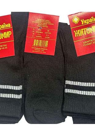 Шкарпетки чоловічі р.40-45 12пар (27) тм житомир