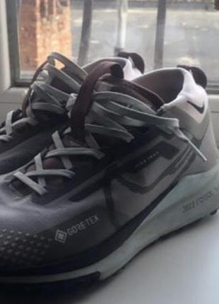 Nike pegasus trail gore-tex