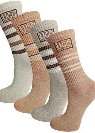 Шкарпетки високі 256 ws ugg р.36-41 12пар тм житомир 7 копійок