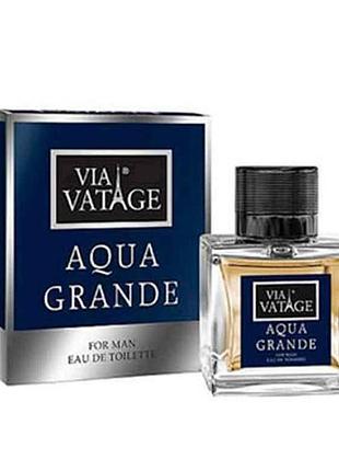 Туалетна вода д/чол via vatage aqua grande 100мл тм bi-es 7копійок