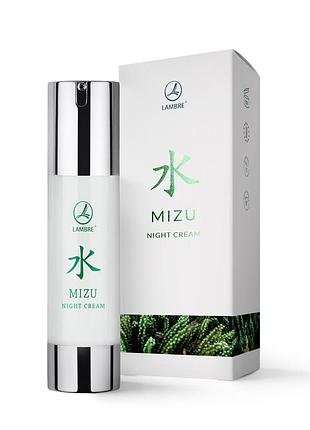 Ночной крем mizu night cream 50 ml