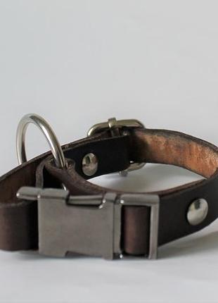 Ошейник из натуральной кожи "lockdog" фастекс на небольшую собаку