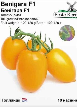 Томат бенігара (ks 1430) f1 (10 насінин)/(5 пачок в упаковці) тм beste kern 7копійок