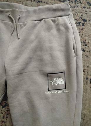 Спортивные штаны the north face 2