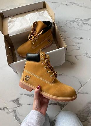 Бежевые ботинки унисекс timberland beige termo х тимберленд 44