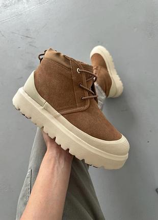 Бежеві замшеві черевики ugg neumel hybrid chestnut beige х угг ньюмел 42