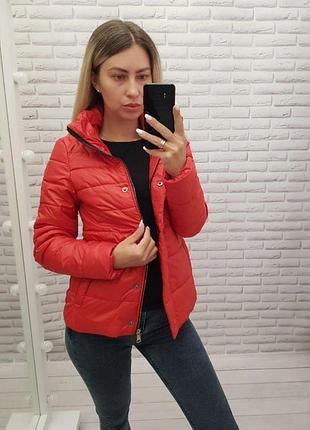 Куртка 211 красный 2