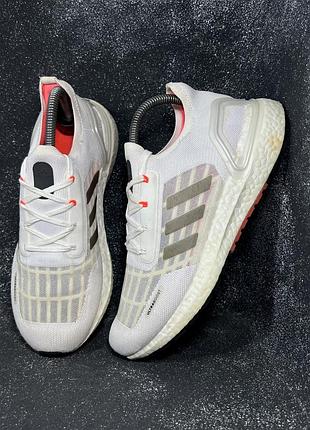 Жіночі білі кросівки adidas ultraboost