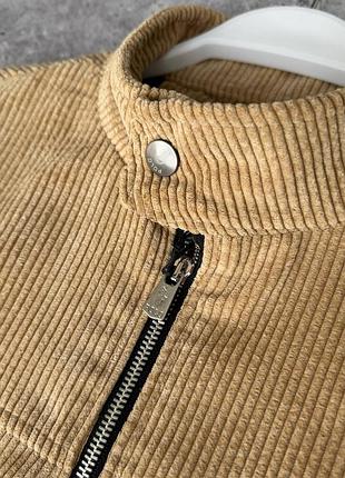 U.s. polo assn. 5