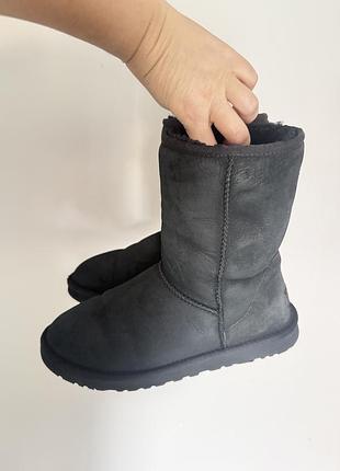 Продам оригінальні ugg, розмір 40 (устілка 26 см) 🖤