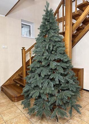 Кедр 1.5 м 2