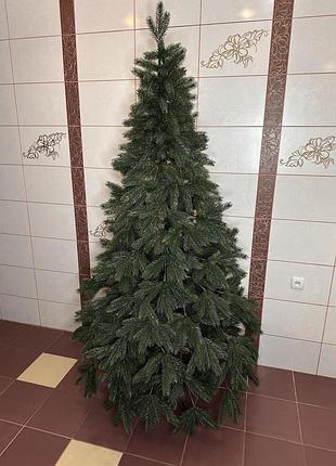 Кедр 1.5 м 6