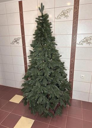 Кедр 1.5 м 9
