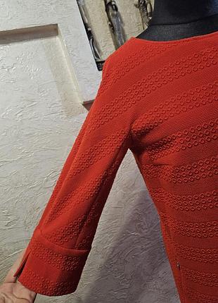 Платье  трикотаж  bogner 5