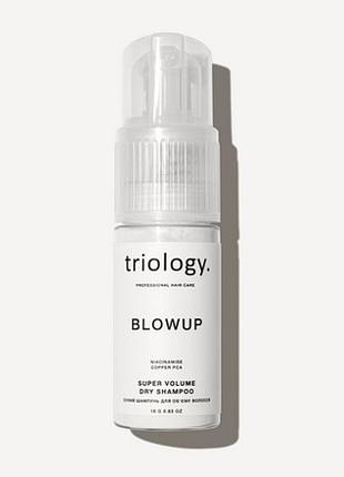 Сухой шампунь для объема волос triology blowup 18 г