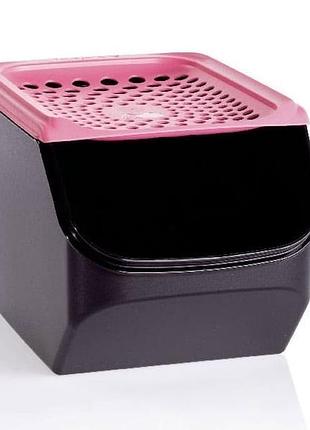Контейнер дихання 3  л tupperware