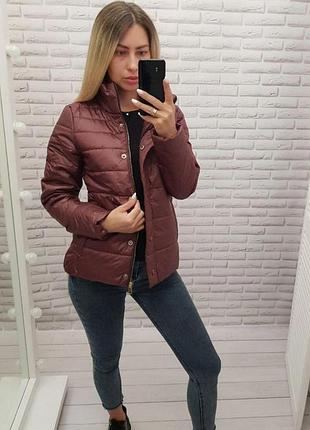 Куртка 211 бордо