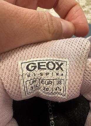 Чобітки geox 20 розмір 2