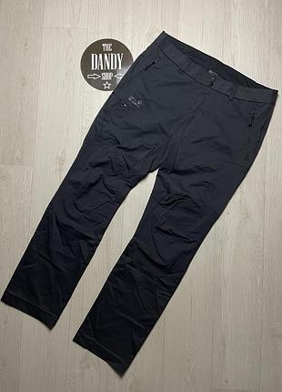 Мужские трекинговые штаны, брюки jack wolfskin, размер 38 (xl)