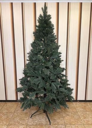 Кедр 2.3 м 10