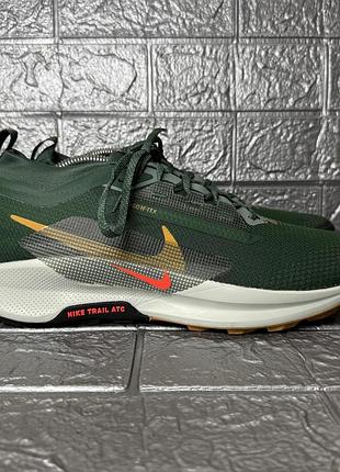 Мужские кроссовки nike pegasus trail 5 gtx fq0908-301