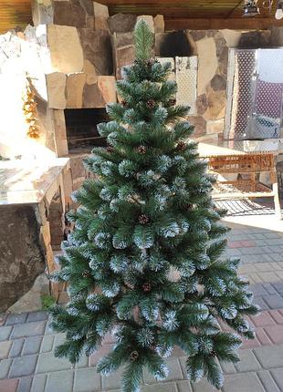 Королева с шишками 2.5 м 8