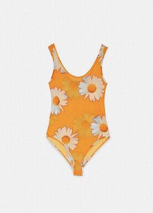 🌼 ніжне боді з ромашками від zara