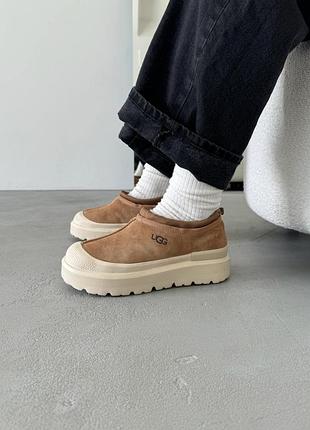Бежевые замшевые угги ugg tasman hybrid chestnut beige х угг тасмен 44