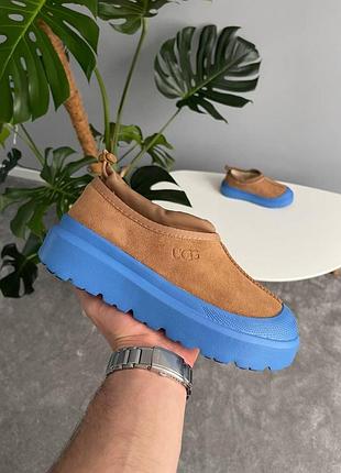 Бежевые угги унисекс ugg tasman hybrid chestnut blue х угг тасмен 42