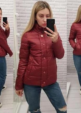 Куртка 211 вишня