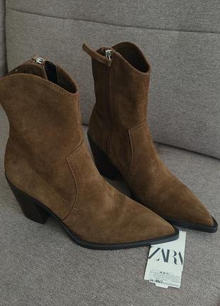 Козаки zara