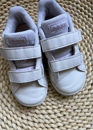 Кеди від adidas 5