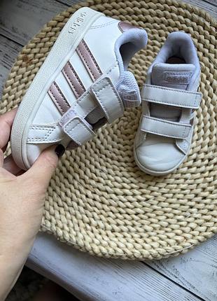 Кеди від adidas 4