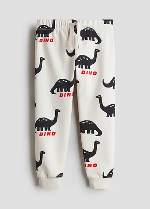 Спортивные штаны утепленные для мальчика от h&amp;m