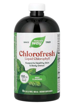 Chlorofresh, жидкий хлорофилл, с нейтральным вкусом, 132 мг, 480 мл