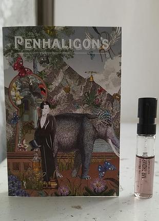 The omniscient mister thompson, penhaligon's, пробник