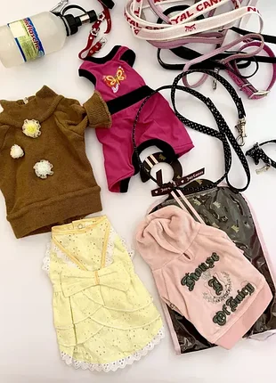Комплект для міні собачки juicy couture